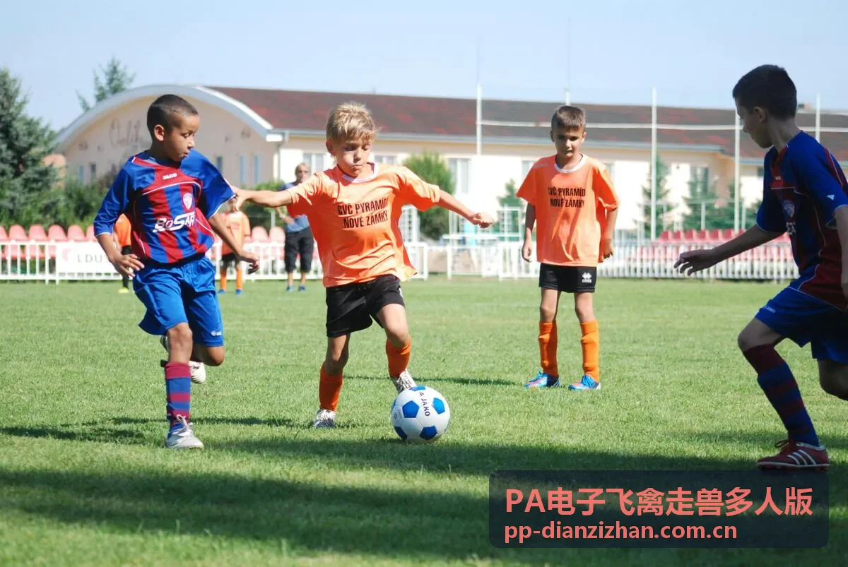 PA电子飞禽走兽多人版互动展示界面示意