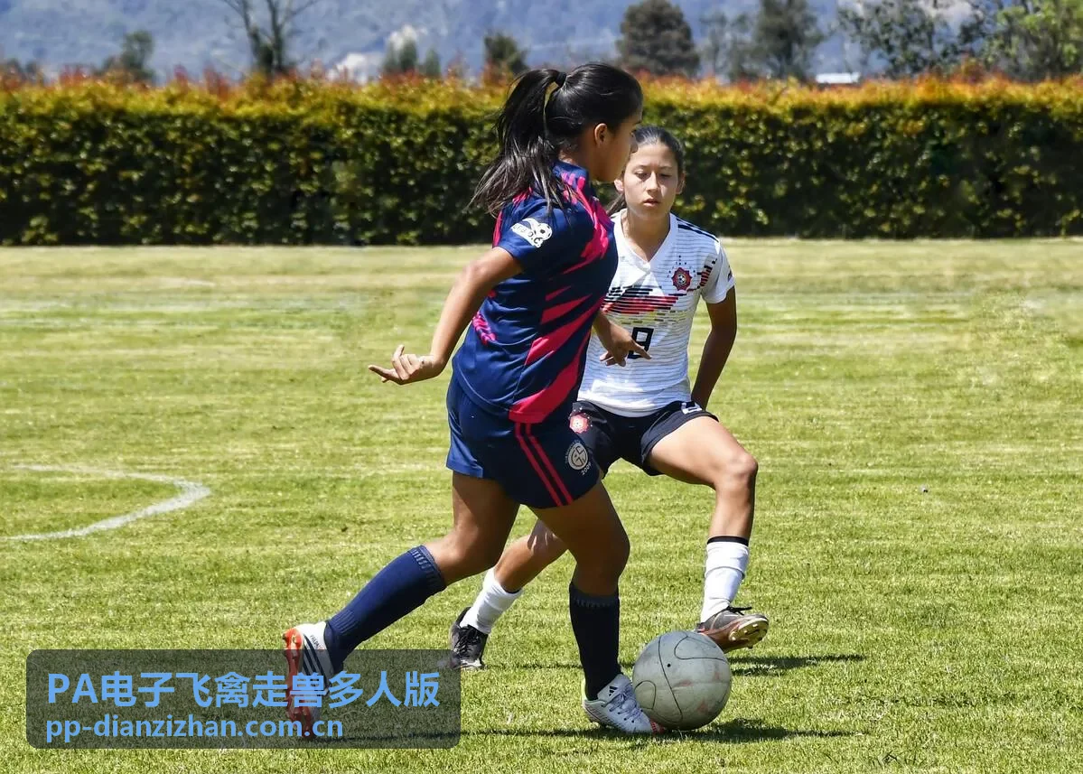 PA电子飞禽走兽多人版多终端适配功能示意