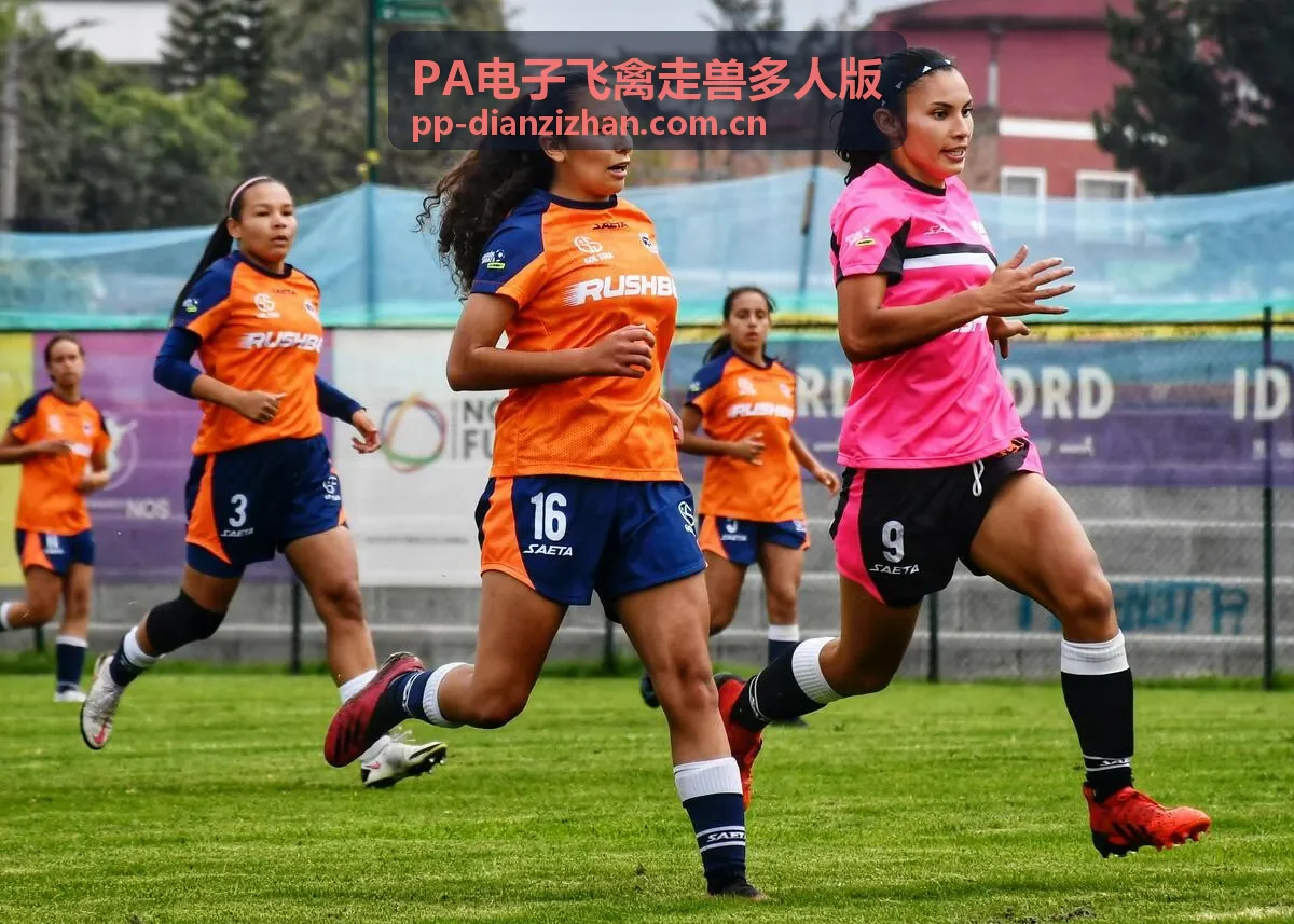 PA电子飞禽走兽多人版咨询接入场景